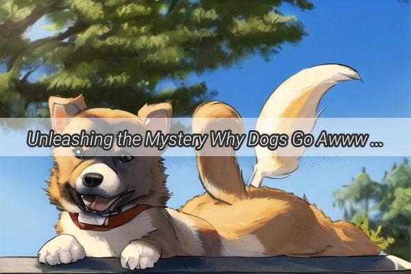 Unleashing the Mystery Why Dogs Go Awww with Amazement